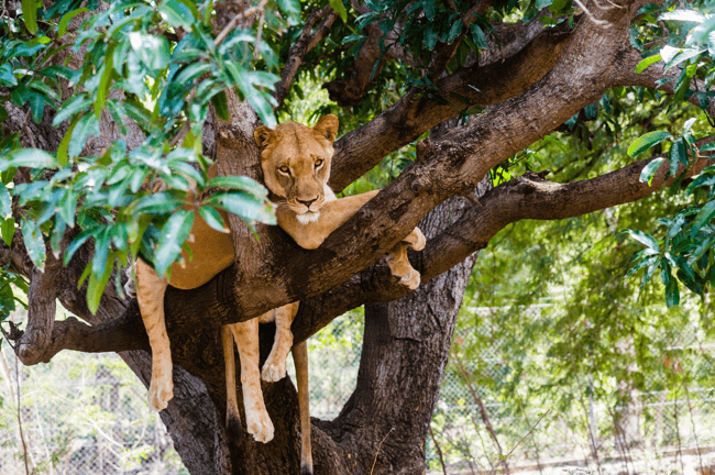 Lake Manyara