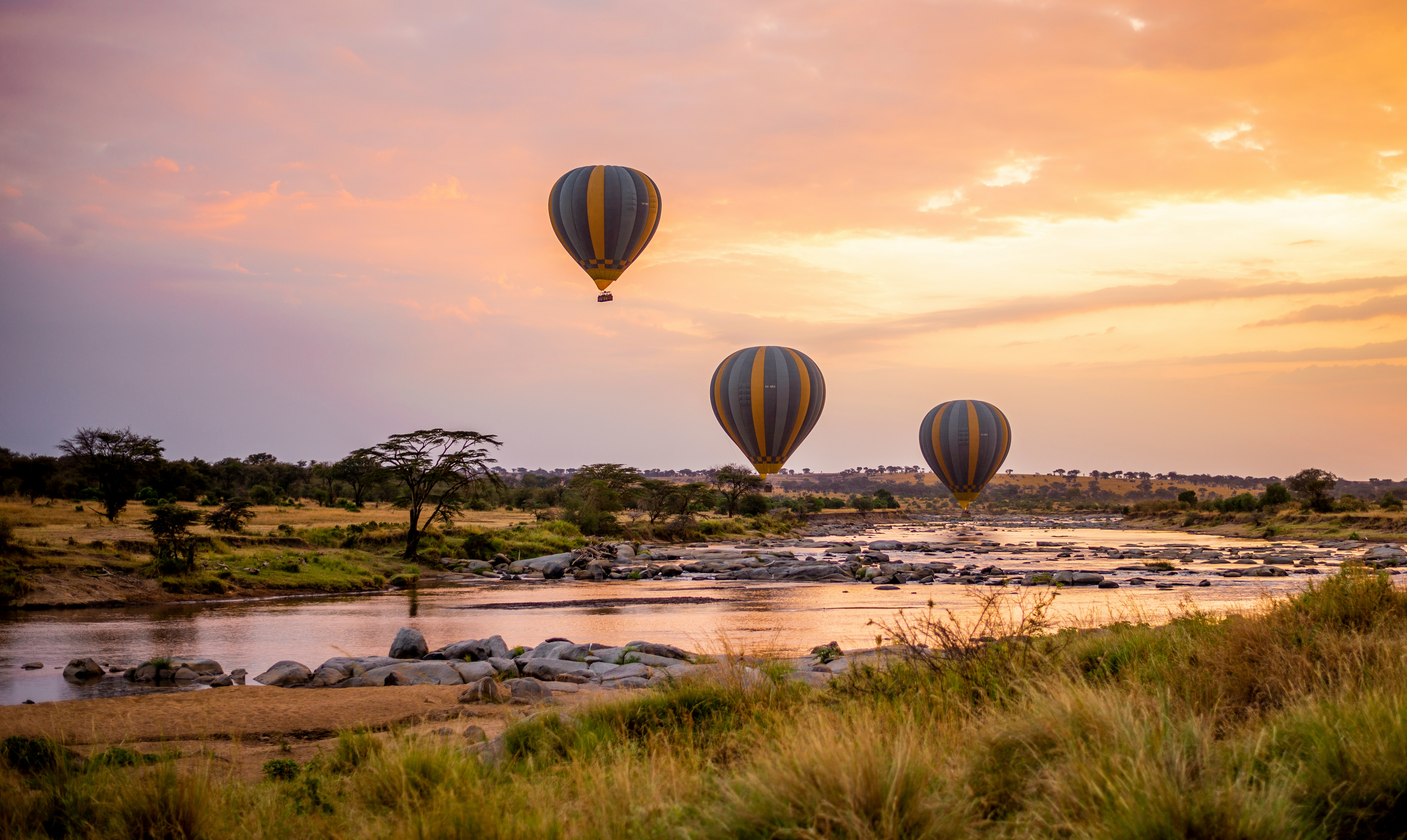 Serengeti Safari